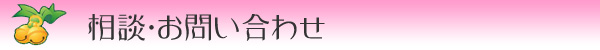 相談・お問合わせ